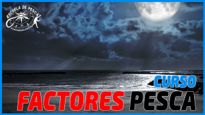Curso Especializado de Factores de pesca